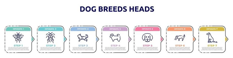 dog breeds heads concept infographic design template. included sawfly, null, toyger cat, shih tzu, dog puppy, dog smelling pointer icons and 7 option or steps.