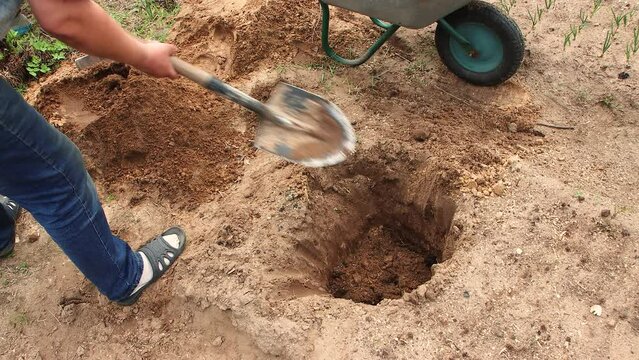 Close-up preparing a hole with humus or compost for planting a tree. Cultivation of fruit trees, spring work in the garden. The concept of agricultural work in the country and the farm. UHD 4K.