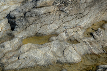 l'estran, flaques d'eau sur un rocher à marée basse