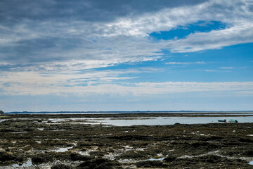 paysage de mer, rivage rocheux à marée basse