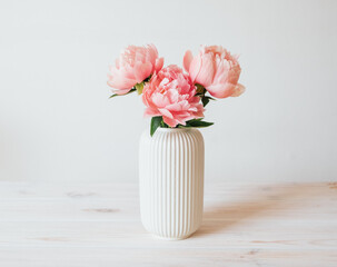Beautiful bunch of fresh Coral Charm peonies in full bloom in vase against white background. Copy space for text. Minimalist floral still life with blooming flowers.