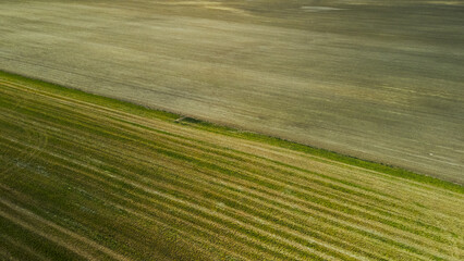 Obraz premium Agricultural fields with new shoots. New sprouts of agricultural crops appear on the field. Aerial photography.