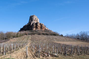 Vue sur la roche de Solutré et le vignoble de Macon (Solutré-Pouilly) - 510025076