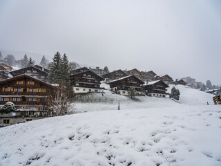 Fototapeta premium Traditional Swiss houses on a hill during snowfall in Grindelwald village, Switzerland