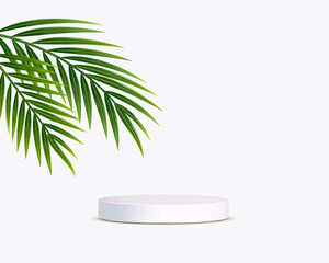 White cylinder podium for product with realistic palm leaves Vector