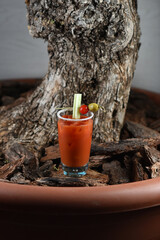 Cocktail with vodka and tomato juice Bloody Mary
