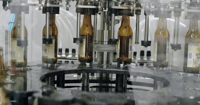 Capping process of full beer bottles. Machine for capping bottles. Factory, brewery concept. Beer bottles on automated machine during capping process. Video of beer bottles moving on a conveyor belt.