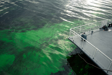 A man fishes in green water with algae. Fisherman on the river pier with green water. Fisherman on the river with blooming green water