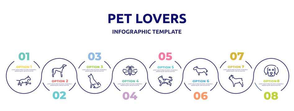 pet lovers concept infographic design template. included bulterrier, saluki, akitas, null, toyger cat, bullterrier, french bulldog, dog puppy icons and 8 option or steps.