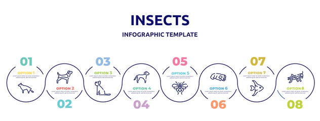 insects concept infographic design template. included german sheperd, beagle, yorkshire terrier, springer spaniel, null, dog sleeping, angelfish, locust icons and 8 option or steps.