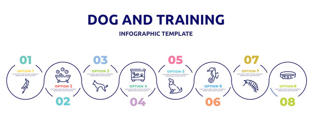 dog and training concept infographic design template. included nymphicus hollandicus, pets bath, german shepherd, terraraium, sitting dog, sea horse, big shrimp, dog collar icons and 8 option or