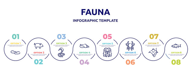 fauna concept infographic design template. included cloudy sky, pig with round tail, poisonous cobra, seashell conch, long haired dog head, poisonous spider, stingray with long tail, big salmon