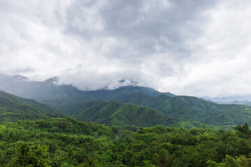 Misty landscape with green forests, fertile mountains.