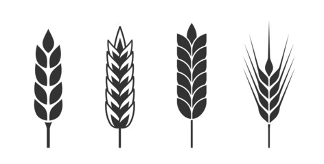 Gain wheat barley vector icon set