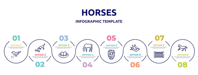 horses concept infographic design template. included bird eating seeds, dog smelling a bone, nest with eggs, horse grazing, mummy, black bird, fence for horses jumps, horse running icons and 8
