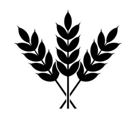 Grain agriculture wheat plant vector icon