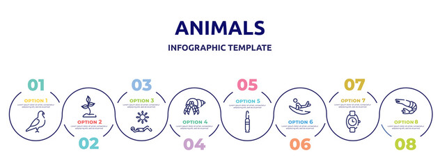 Fototapeta premium animals concept infographic design template. included pigeon, soil, sunbathing, hermit crab, bullets, surf, wristwatch, prawn icons and 8 option or steps.
