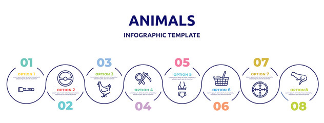 animals concept infographic design template. included torch, steering wheel, hen, geology, bikini, food basket, crosshair, otter icons and 8 option or steps.