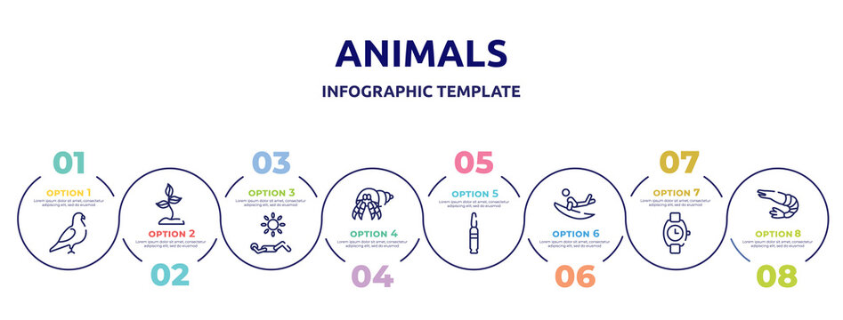 animals concept infographic design template. included pigeon, soil, sunbathing, hermit crab, bullets, surf, wristwatch, prawn icons and 8 option or steps.