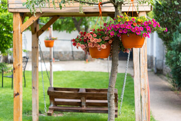 Beautiful flower pots hang on a tree in the front yard of the garden