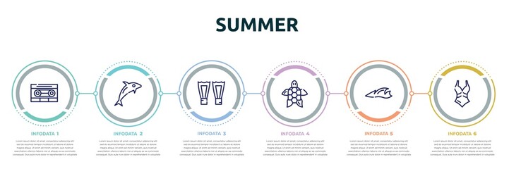 summer concept infographic design template. included caste, dolphin on water waves, fins, sea turtle, ocean, swimsuit icons and 6 option or steps.