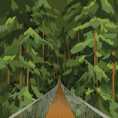 
Capilano Suspension Bridge. Vancouver British Columbia. Park Canada. Nature Canada. Forest. National Parkк