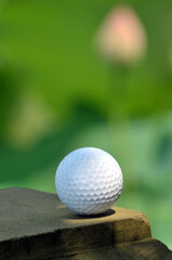 golf ball byside the waterlily pond