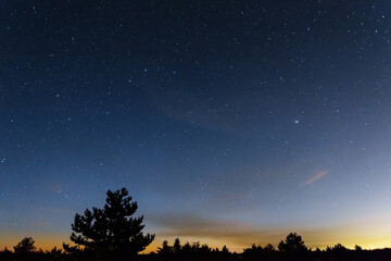 Fototapeta na wymiar prairie silhouette under dark starry sky, night summer outdoor landscape