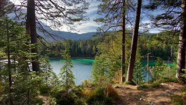 Panoramic view of a forest with the beautiful Eibsee lake in Bavaria behind, with turquoise water, very close to the Zugspitze mountain