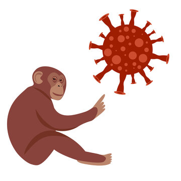 Monkey is holding a ball - a virus. Monkeypox