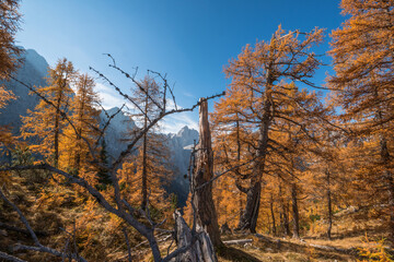 Autumn at Slemenova Spica in the Julian Alps mountains