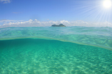 Fototapeta na wymiar underwater scenery of coral reefs in the caribbean sea