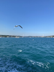 Fototapeta na wymiar Istanbul, Turkey - a ferry boat crossing the Bosphorus strait. Cityscape of Istanbul historical part, Turkey, from the boat, crossing Bosphorus,beautiful stern wave and seagulls. Turkey travel concept
