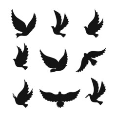 The silhouette of a pigeon. A bird in flight. Vector set.