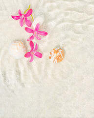 Fototapeta na wymiar Pink flower in the water decorated with sea shell and bright sand as background with wave effect. Minimal summer idea with copy space. Flat lay tropical concept.
