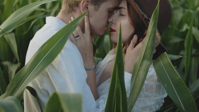 Beautiful hipster couple in the corn field. Medium shot couple hugging and kissing farmland.Caucasian woman holding guy's face in her arms with closed eyes.Date, love and lifestyle concept.