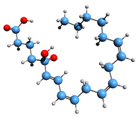  3D image of Arachidonic acid 5-hydroperoxide skeletal formula - molecular chemical structure of 5-HPETE isolated on white background