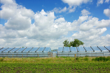 External view of the blue and white greenhouse. Greenhouse made of oilcloth under the blue sky.