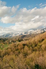 Fototapeta na wymiar Spring mountains landscape 35mm film vertical