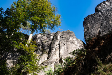 Sandstone rocks in beautiful Rathen Bastei Saxony region, Germany. 