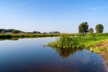 Łagodna Narew w okolicy miejscowości Zajki, Podlasie, Polska
