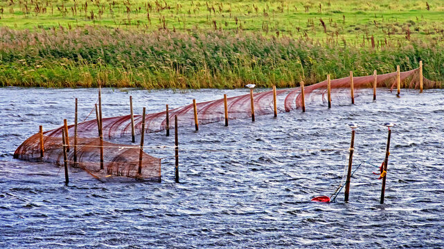 Von Berufsfischern ausgelegte Fischernetze im d&auml;nischen See Flade S&oslash;, J&uuml;tland
