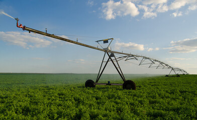 Agricultural irrigation system watering field of green peas on a sunny summer day