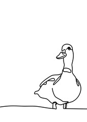 continuous line drawing - duck