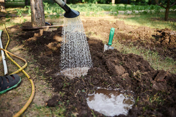 Close-up. Using watering can watering holes by irrigation in the loosen ground for further planting seedlings in open ground. Horticulture, eco farming and agro business concept