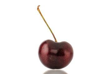 One sweet cherry berry, close-up, isolated on a white background.