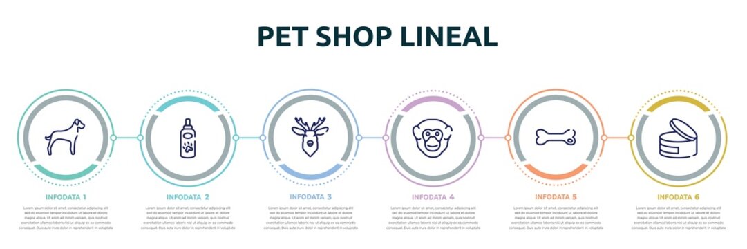 pet shop lineal concept infographic design template. included great dane, pet lotion, deer head, chimpanzee head, dog toy, canned food icons and 6 option or steps.