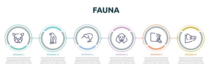 fauna concept infographic design template. included face of staring dog, sitting penguin, kiwi eating, dog with floppy ears, hog head, chameleon head icons and 6 option or steps.
