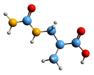  3D image of beta-Ureidoisobutyric acid skeletal formula - molecular chemical structure of metabolite isolated on white background
