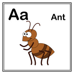 Cute children ABC animal alphabet A letter flashcard of Fire Ant for kids learning English vocabulary.